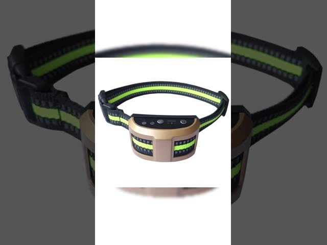 Water Resistant Pet Training Shock Collar Rechargeable for Dog and cat Agility