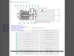 East Chdf Stamping Multi-Stage Pump Equipped with Horizontal Extended Shaft Motor