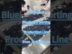 China High Output High Precision Pistachio Sorting Machine With 20 Channels 8 Discharge Ports supplier
