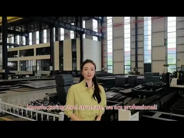 Large span space hot-rolled galvanized steel structure hangar building with Q355B quality