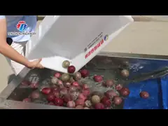 China Customized Driven Pesticide Exclude Vegetable Processing Line , Centrifuging Tomato Processing Line supplier