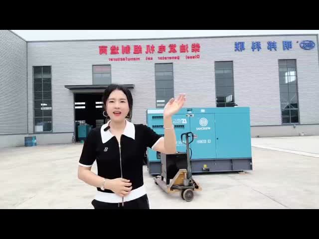 Yangdongエンジン20KW 25KVAの無声ディーゼル発電機