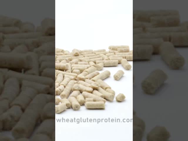 Wheat Gluten Pellet, Gluten Pellet