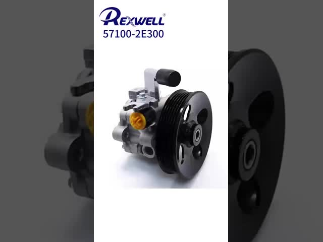 57100-2E300 57100-2E200 57100-2F200 Car Power Steering Oil Pump for Hyundai Tucson 2006-2009