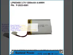GP603450  1200mAh 3.7V BATTERY