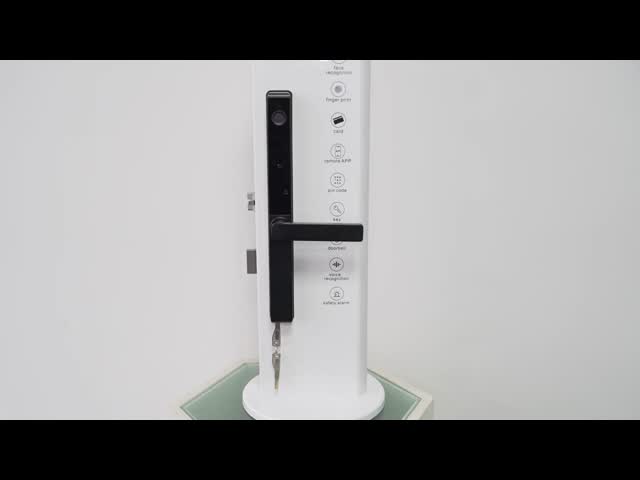 屋外防水 TTlock Tuya Wifi スマートカード 指紋 パスワード スライド式アルミドアロック