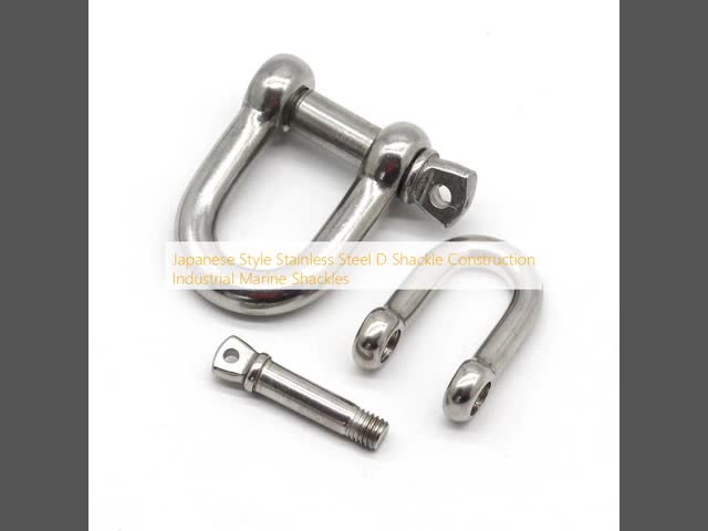 Japanese Style Stainless Steel D Shackle Construction Industrial Marine Shackles