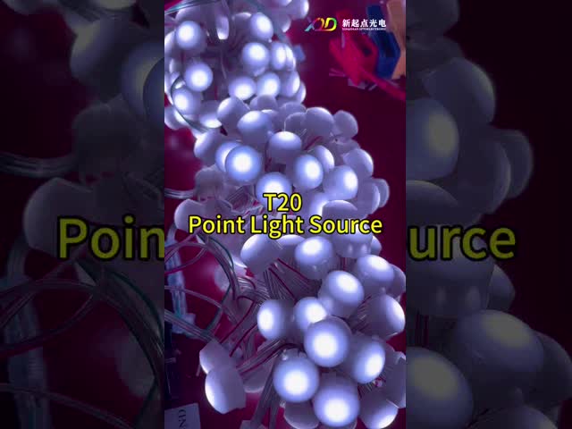 Outdoor LED Point Lights Waterproof And Fireproof IP68 SPI Controlled 12V