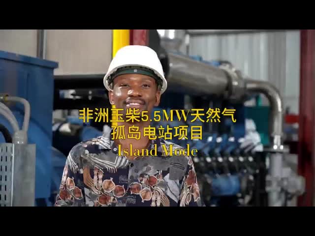 300kW 50Hz Natural Gas Generator Set AC300-NG 375kVA