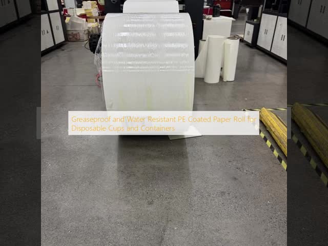 油性・耐水性 PE コーティング紙巻 使い捨て用カップ・容器用