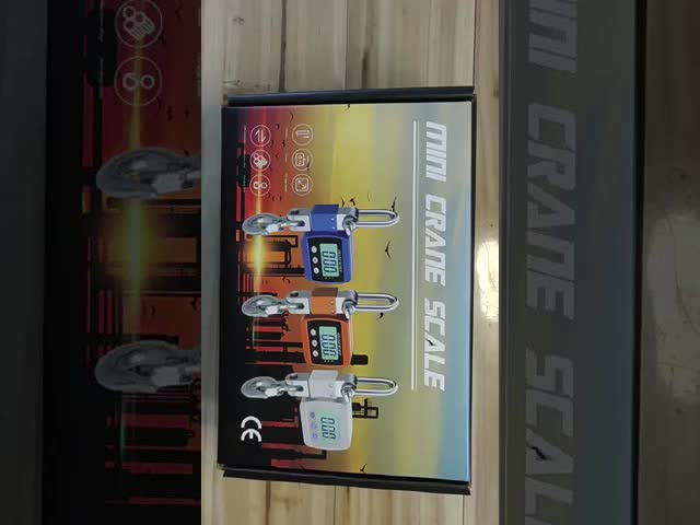 Hanging Scale Digital Electronic 300kg Mini Gram Feature LCD/LED Display Tare Function for Luggage Weighing OEM/ODM