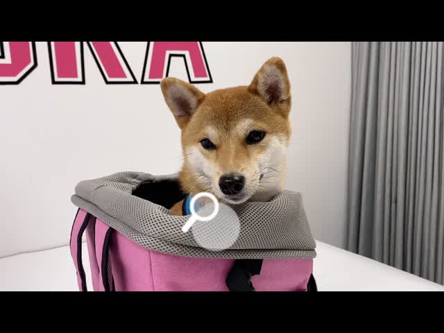 Bike Basket For Dogs Cats Backpack Carrier Removable Folding Pet Bicycle Front Basket