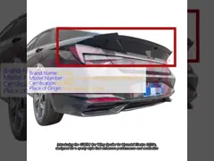 OEM Standard Car Spoilers for For Hyundai  Elantra 2020+