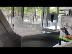 China AI Algorithm Visual Short Time Product Inspection Equipment supplier