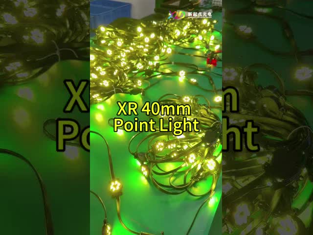 24W IP68  LED Point Light for Outdoor Waterproof Building Decoration Lamp