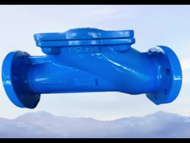 Ductile Iron Rubber Disc Check Valve for Municipal Drainage Systems