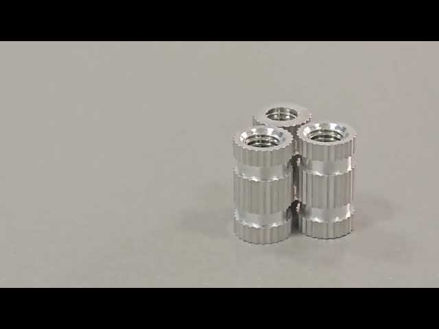 インジェクション 鋳造 不同鋼 ナッツ メトリック 透孔とプリ 埋め込み