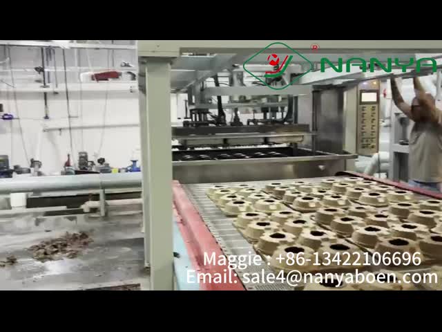 Full Auto Reciprocating Waste Paper Egg Tray Making Machine Vacuum Suction Forming