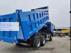 Good Quality 371HP 375HP 6*4 10 Wheels Used HOWO Dump Truck Tipper Truck