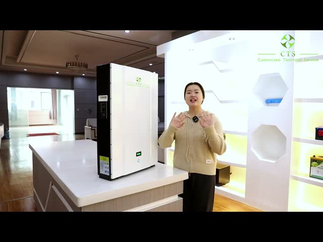 CTS 10kwh 5kwh Solar Energy Home Storage Battery 48v 200Ah Lifepo4 Power-wall