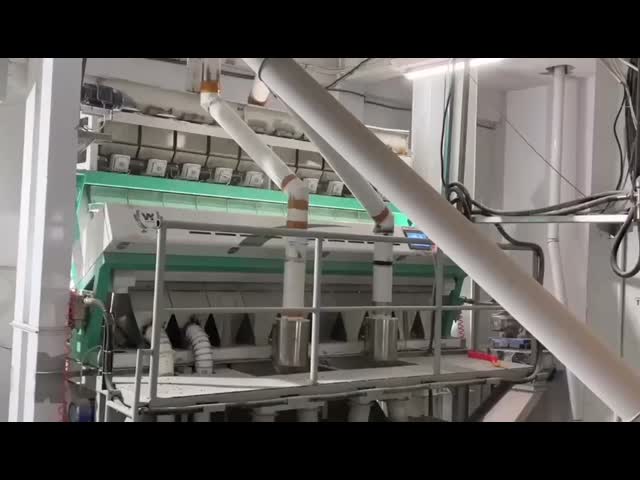 Wenyao Red Lentils Green Yellow Colored Peeled Split Lentils  Lentils Sorting Machine Newest Model Multiple Sorting Color Sorter