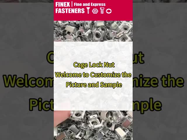 Finitura natural M6 Cage Nut Metric Metal Nut Para Decoração de Edifícios de Motores