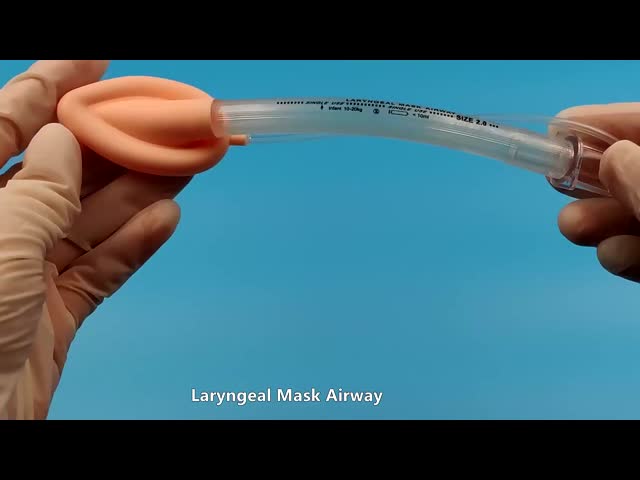 医療麻酔気道消耗品滅菌シリコン喉頭マスクエアウェイ患者用シングルユース