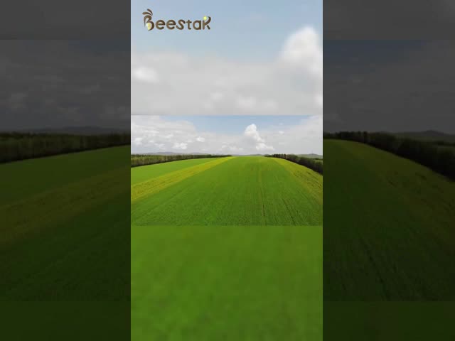 Seamless Rain Non Slip Sole Beekeeping Boots