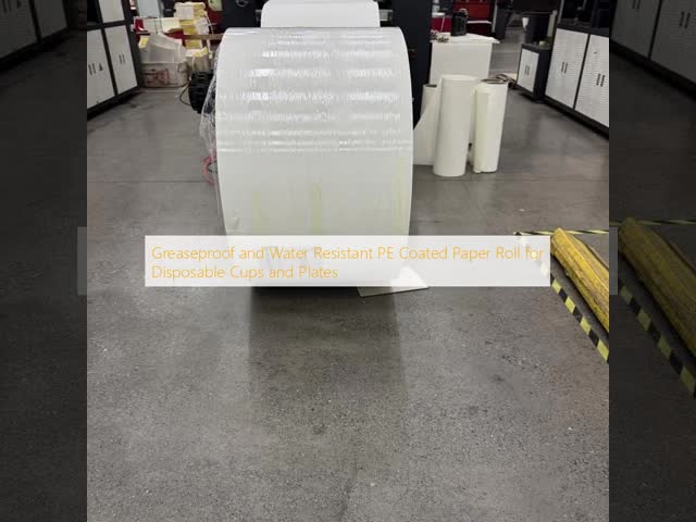 Eco-friendly Customizable PE Coated White Paper Cup Rolls Flexography Printing Beverage Wrapping