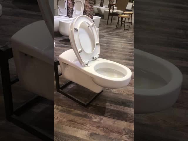 障害者用セラミック製衛生陶器障害者用トイレセット壁掛けWC