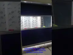 Pharmaceutical Class 100 Cleanroom Air Shower With Rapid Rolling Door