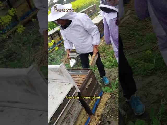 Breathable Beekeeping Jacket with Protective Bee Hat - White