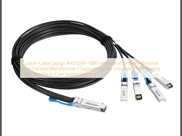 専門的なワイヤーハーネスの製造者によるカスタムケーブルデザインとQSFP-100Gインターコネクト