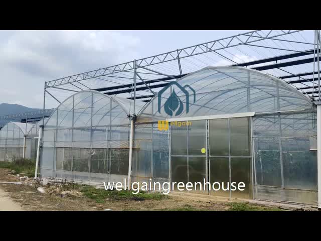 High Yield Farming Polycarbonate Greenhouse Fruit And Vegetable Greenhouse