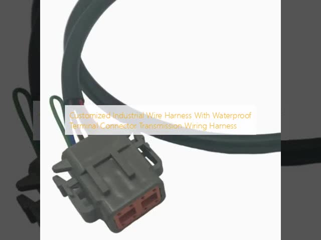 Customized Industrial Wire Harness With Waterproof Terminal Connector Transmission Wiring Harness