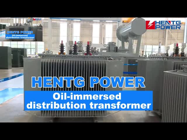 Electric Power Distribution Oil Immersed Mv High Voltage Isolation Transformer 1000kVA