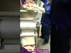 Industrial Juice Processing Equipment Fruit Crusher Machine With Rotating Knife