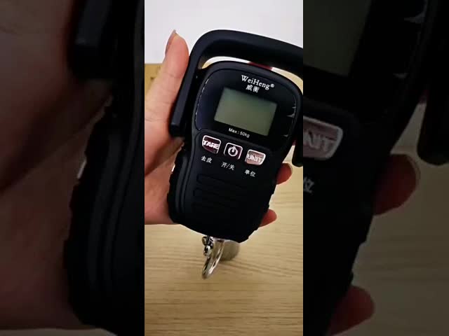 50 KG Max Capacity WeiHeng WH-A29 Electronic Fishing Scale with LED Display 1g Accuracy ABS Material OEM Customizable