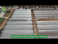 Single-Span Sawtooth Design Tropical Plastic Film Greenhouse Tunnel Customized for Vegetable Growing