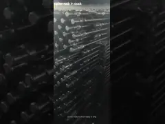 El lechón Roces que el plomo obstruye Roces pulidos el peso Rod de la perforación petrolífera video