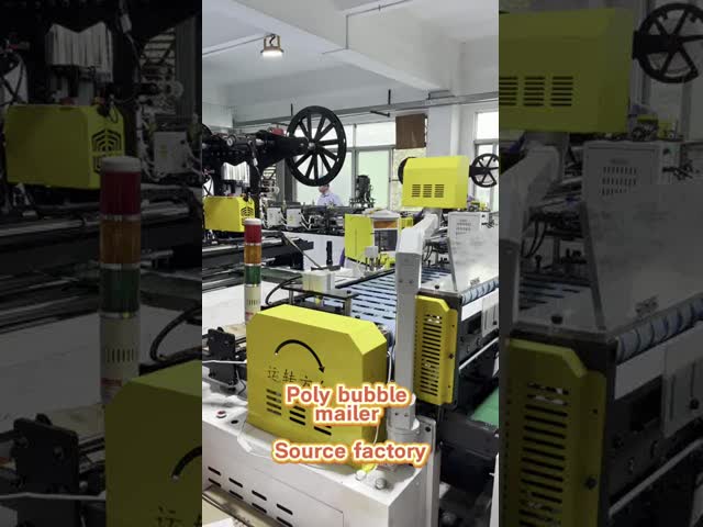 Customizable Plastic Buffer Bags Protection Poly Bubble Bag