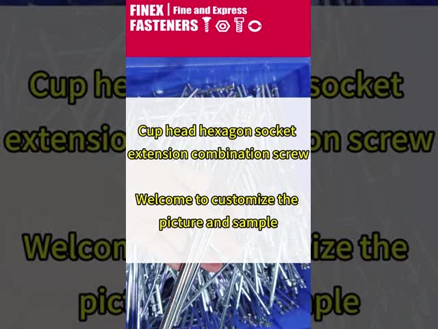 M3 M4 M5 M6 オーダーメイド HEX ヘッドクロス 標準化されていない ステンレス鋼の長螺栓