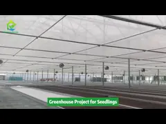 Durable Multi-Span Polytunnel Greenhouse Heavy-Duty Steel Wind Snow Resistance Commercial Farms Nurseries video