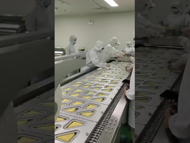 ムースケーキ用シーラーオール改質雰囲気包装シーリングマシン