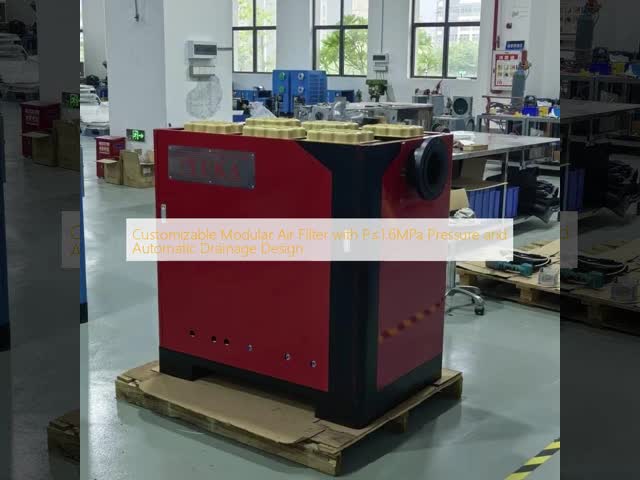 Customizable Modular Air Filter with P≤1.6MPa Pressure and Automatic Drainage Design