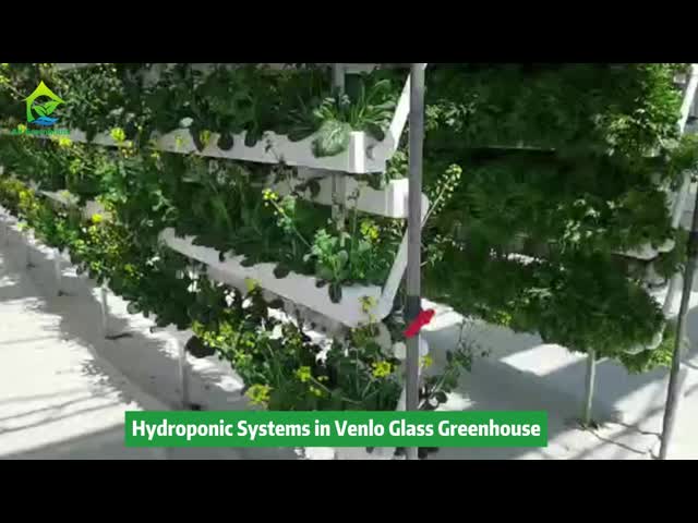 無毒なポリ塩化ビニールSoilless文化システム縦のHydroponic成長する潅漑装置