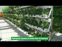 Nontoxic PVC Soilless Culture System Vertical Hydroponic Growing Irrigation Equipment video