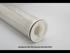 Pullner Flow Rate 60in Temperature Water Filter with 7μm Filtration Area