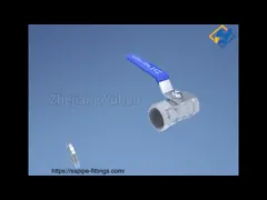 China DN10 To DN50 Screwed Pipe Fittings BSPT NPT Threads Stainless Steel Hex Reducing Bushing supplier