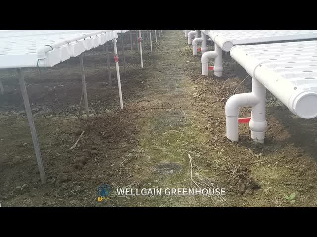葉緑の植物を栽培するためのNFT水栽培溝システム